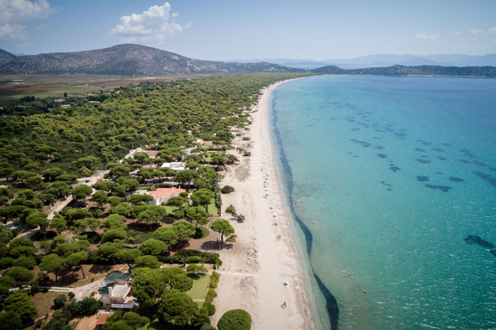 Παρέμβαση εισαγγελέα για πολυτελείς αυθαίρετες κατοικίες εντός του Εθνικού Πάρκου Σχινιά