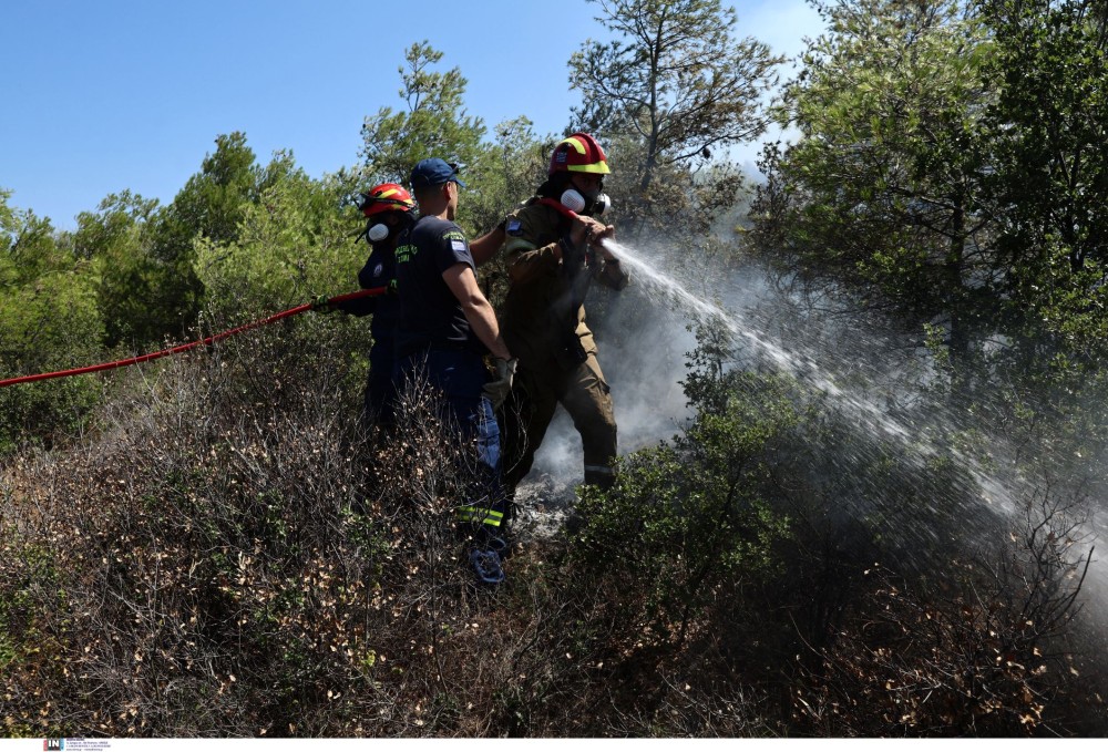 Μαραθώνας: υπό πλήρη έλεγχο η φωτιά στο Άνω Σούλι - Πώς ξεκίνησε (video)