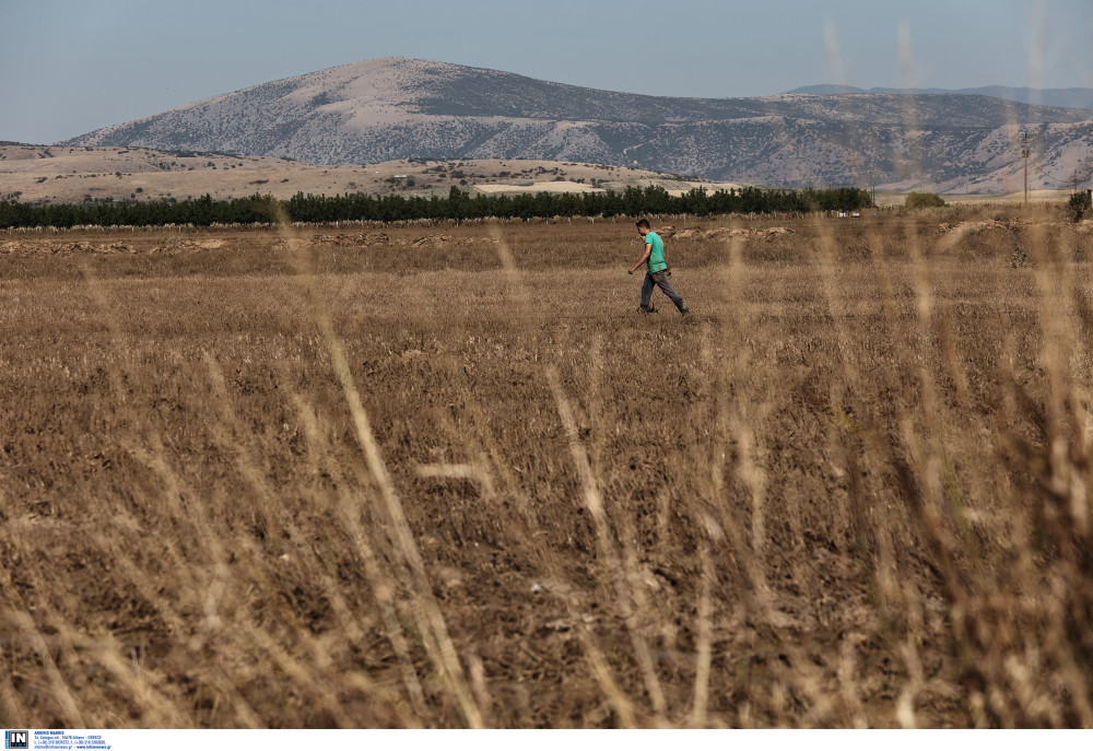 ΟΠΕΚΕΠΕ: ξεκίνησαν οι πληρωμές στους αγρότες - Ποιες ενισχύσεις καταβάλλονται σήμερα