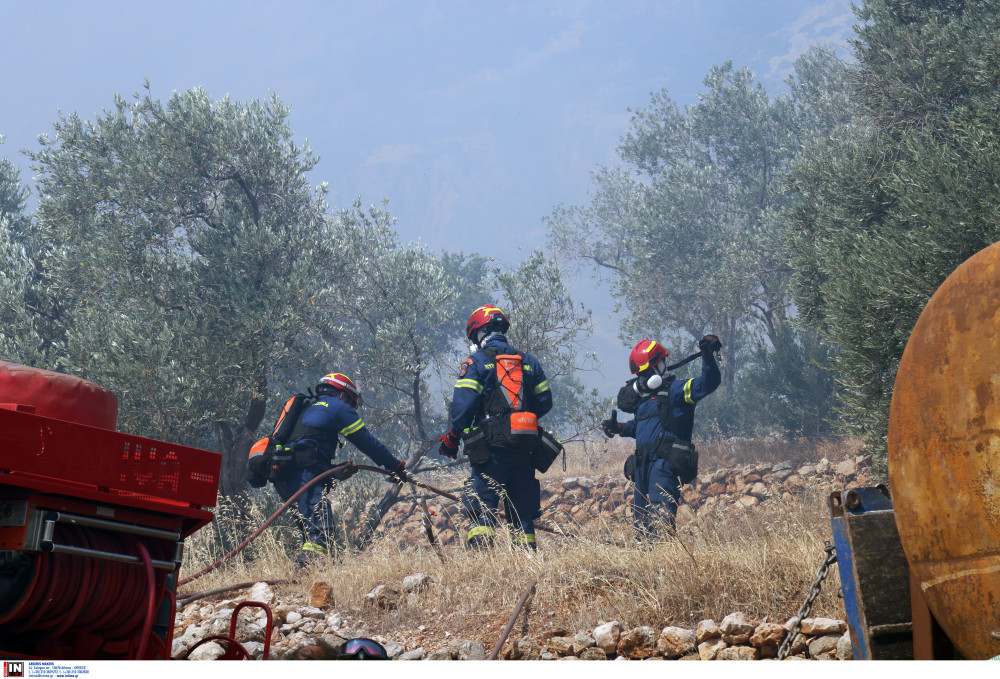 Σε κατάσταση έκτακτης ανάγκης η Χίος - Οι φλόγες κατευθύνονται στα Μαστιχοχώρια