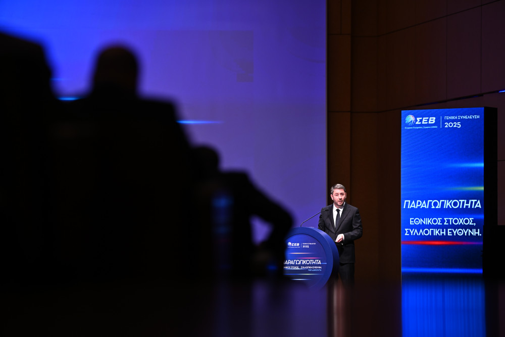 Νίκος Ανδρουλάκης: έτσι, χωρίς όραμα και σχέδιο