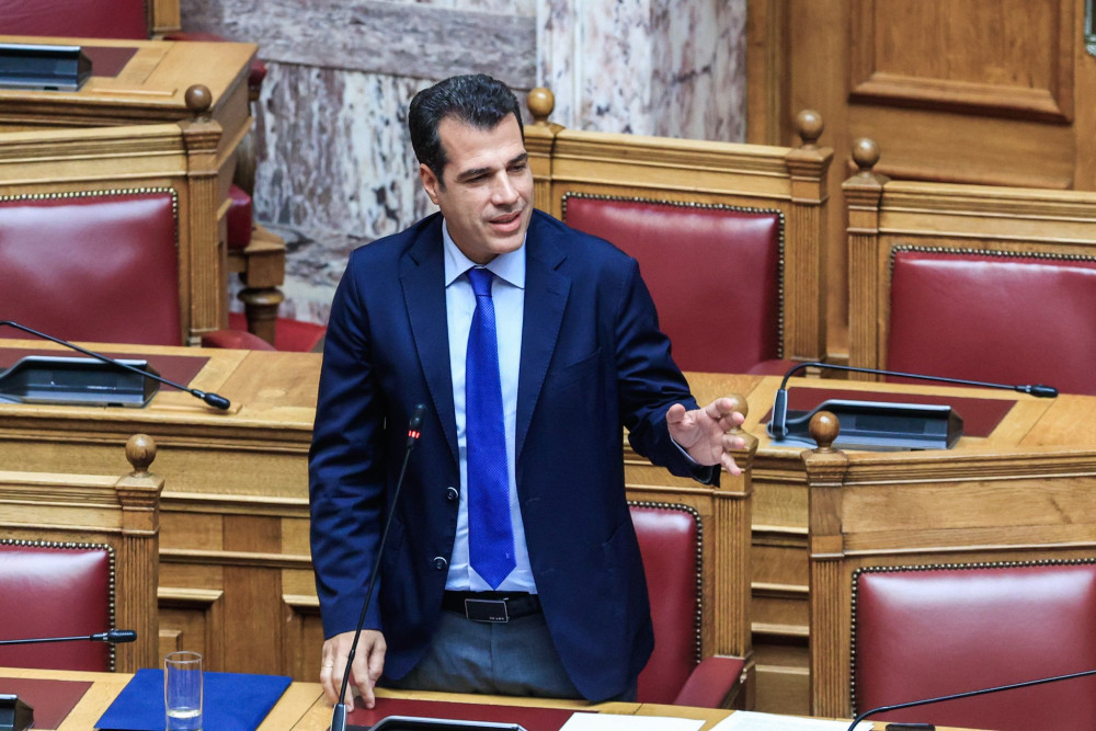 Θάνος Πλεύρης: Δραστική μείωση των επιδομάτων σε αλλοδαπούς - Επανεξετάζεται και το μενού στις δομές