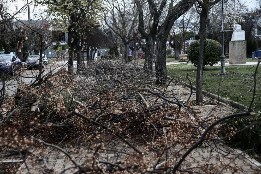 Θεσσαλονίκη: κόπηκε το ρεύμα στη Χαριλάου από πτώση κλαδιού σε καλώδιο ΔΕΗ - Τρεις τραυματίες