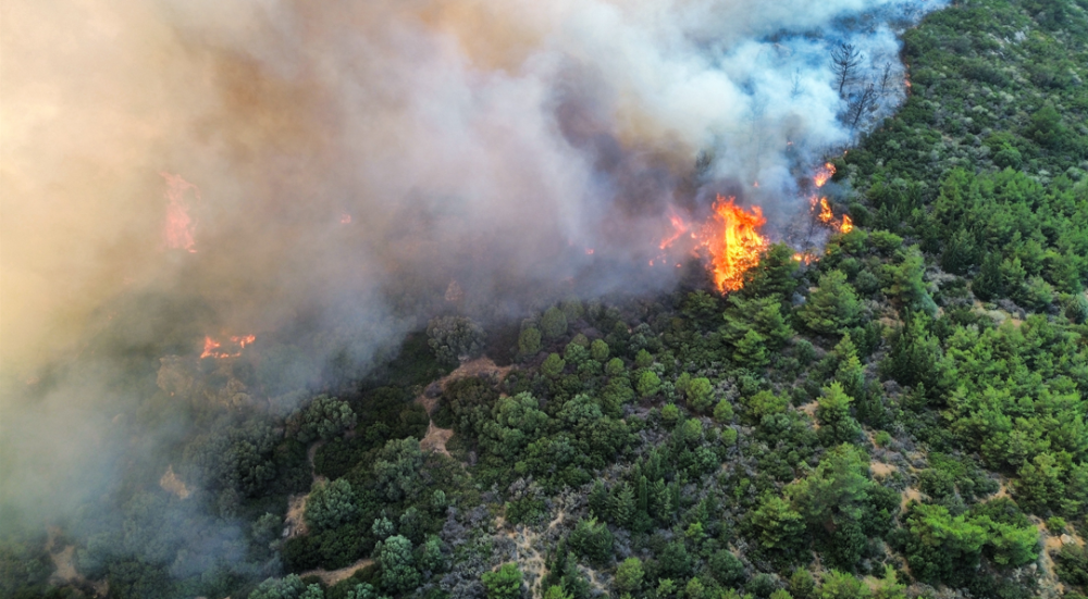 Μαίνονται οι φωτιές στην Τουρκία - 31 συλλήψεις για εμπρησμό ανακοίνωσε ο Ερντογάν (video)