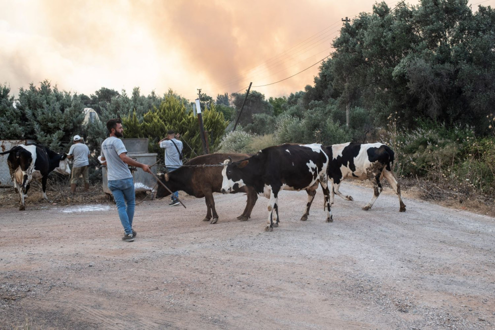 Κόλαση από τις δασικές πυρκαγιές στην Τουρκία – Εκκενώσεις, τραυματισμοί και τεράστια κινητοποίηση