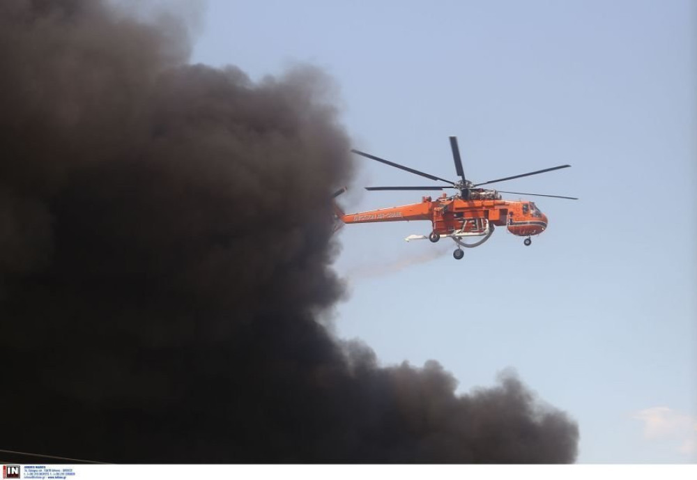 Φωτιά τώρα στη Βοιωτία - Στη μάχη της κατάσβεσης και εναέρια μέσα