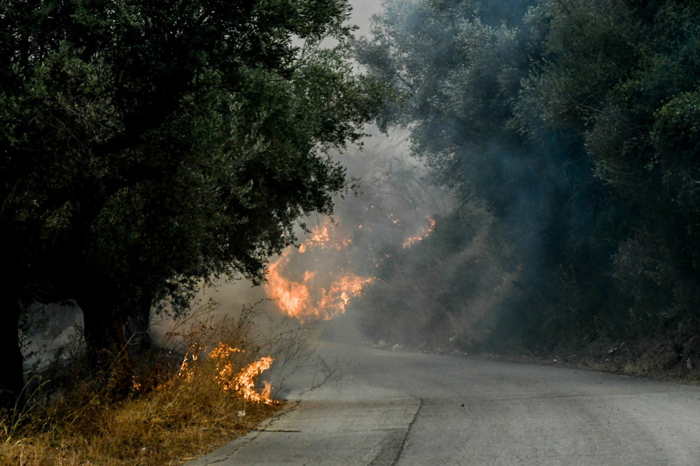 Θεσσαλονίκη: Αναζωπυρώθηκε η φωτιά στον δήμο Βόλβης