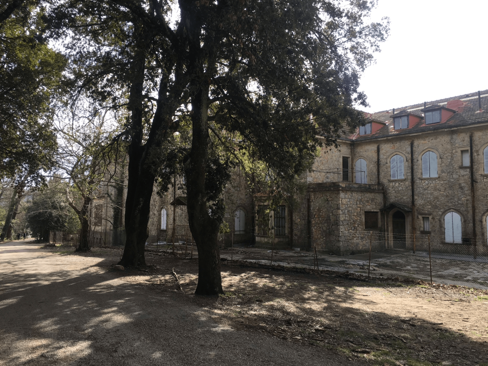 ΥΠΠΟ: Αναβίωση της ιστορίας και της φύσης στο Τατόι – Εικόνες από το έργο ανασύνταξης του περιβάλλοντος χώρου