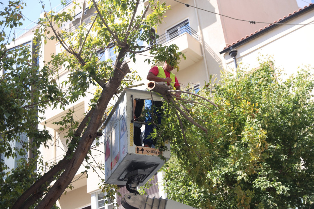 Ξύλο εν ώρα εργασίας στη Θεσσαλονίκη - δημοτικός υπάλληλος θύμα επίθεσης