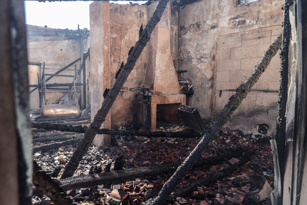 Σε πλήρη εξέλιξη οι αυτοψίες της ΓΔΑΕΦΚ σε πυρόπλητες περιοχές – Τι έδειξαν οι έλεγχοι