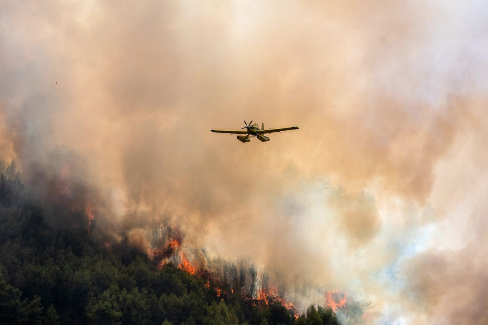 Πυροσβεστική: 42 αγροτοδασικές πυρκαγιές το τελευταίο 24ωρο σε όλη τη χώρα