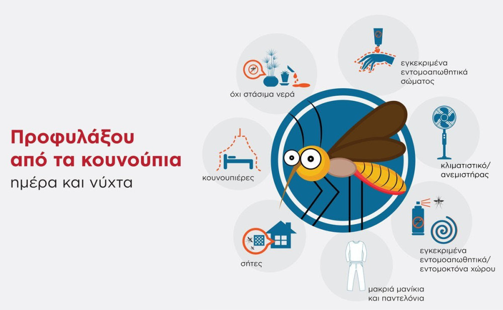 Δήμος Παιανίας: σε εφαρμογή το πρόγραμμα ολοκληρωμένης διαχείρισης κουνουπιών