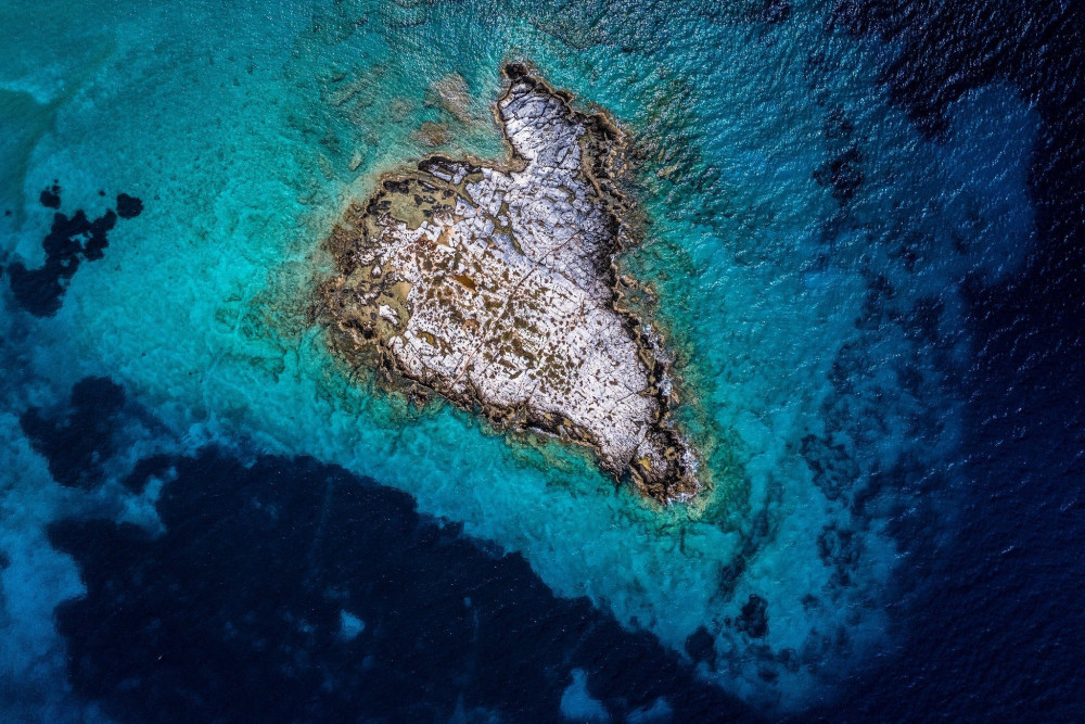 WWF Ελλάς: «Θετικό βήμα τα θαλάσσια πάρκα - Απαραίτητη η συνέχεια και η δράση»