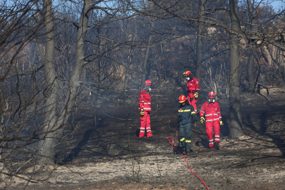 «Ευχαριστώ» Μητσοτάκη για την επιβράβευση των Ελλήνων πυροσβεστών από την Ούρσουλα φον ντερ Λάιεν