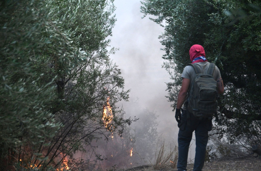 Σοφία Βούλτεψη στο «Μανιφέστο»: Οι φλόγες του μίσους πιο δυνατές από τις φλόγες των πυρκαγιών