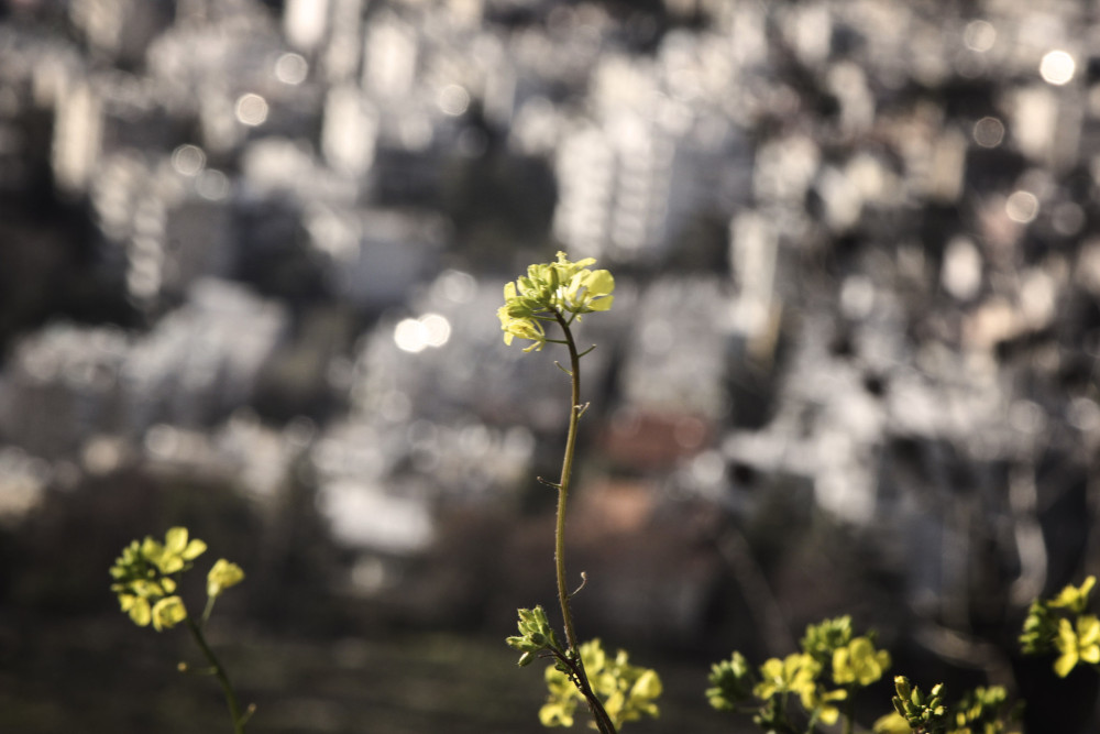 «Εξοικονομώ-Ανακαινίζω για Νέους»: ανοίγει η πλατφόρμα για τους δικαιούχους του προγράμματος