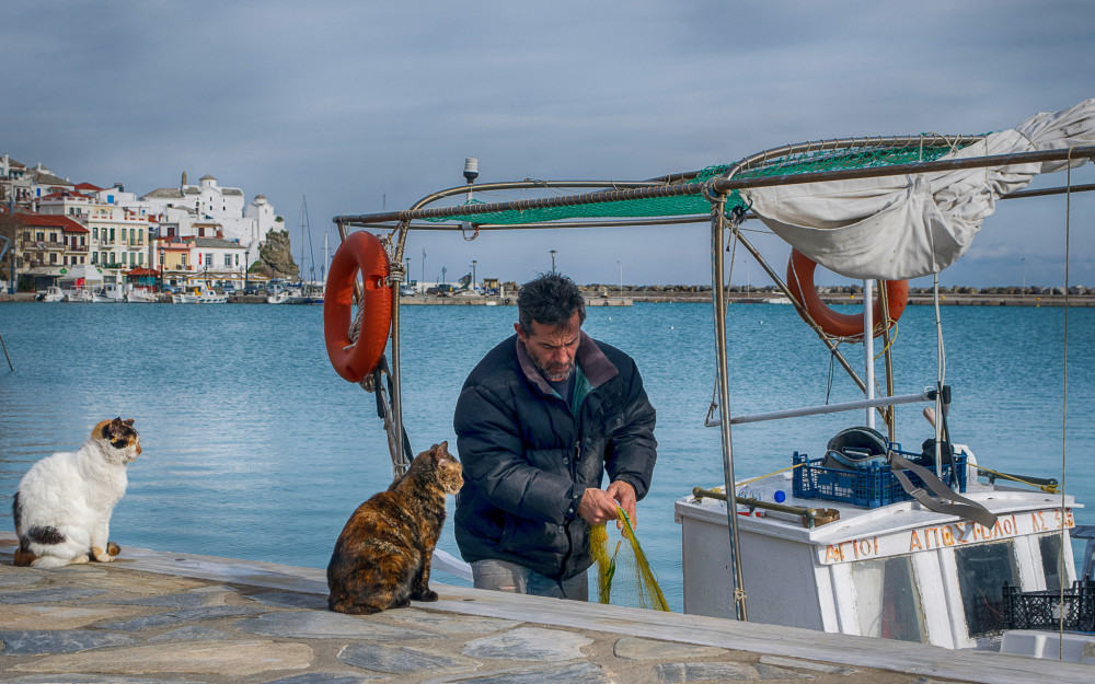 Σκόπελος, ο «μυστικός» ελληνικός προορισμός που κερδίζει τις καρδιές των Γερμανών