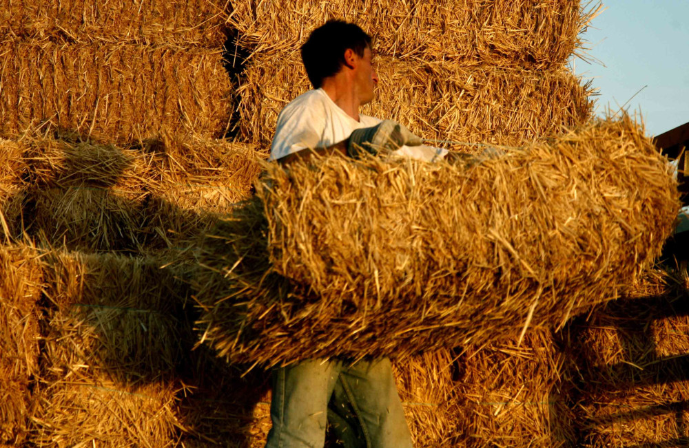 Υπουργείο Μετανάστευσης: Νόμιμες θέσεις εργασίας στην αγροτική παραγωγή έως το 2026