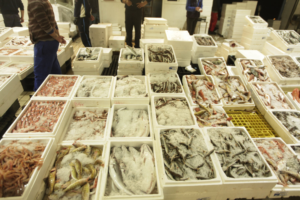 Αυξημένη κίνηση στην ιχθυόσκαλα Κερατσινίου - Πώς διαμορφώνονται οι τιμές για τη νηστεία