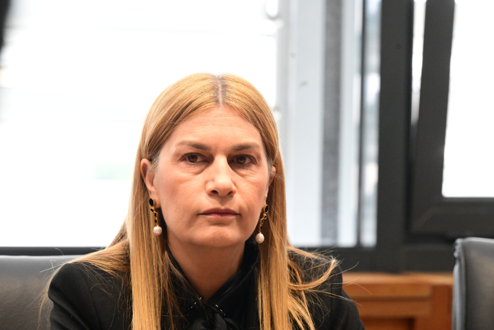 Βολουδάκη για δημογραφικό: Υπαρξιακή πρόκληση για την Ελλάδα και το σχέδιο ανάκαμψης