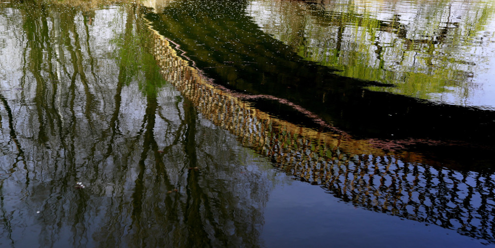 Η Ευρωπαϊκή Επιτροπή παρουσιάζει τη νέα στρατηγική για την πράσινη βιο-οικονομία