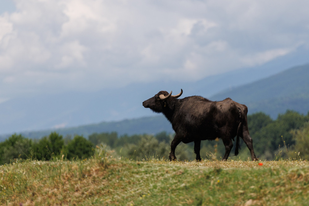 Κυβερνητικές πηγές: Νέο σχέδιο δράσης ΟΠΕΚΕΠΕ για ταχύτερη κατανομή κοινοτικών πόρων