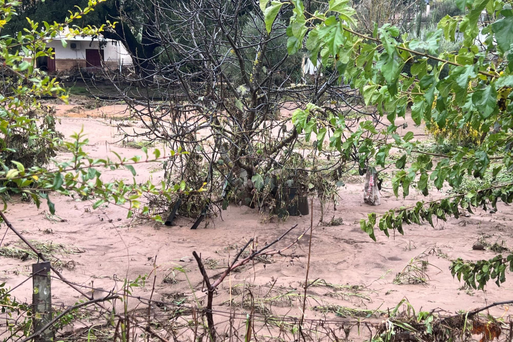Κακοκαιρία: 112 σε Φθιώτιδα, Τρίκαλα, Καρδίτσα - Σε ύφεση τα φαινόμενα στη Λακωνία