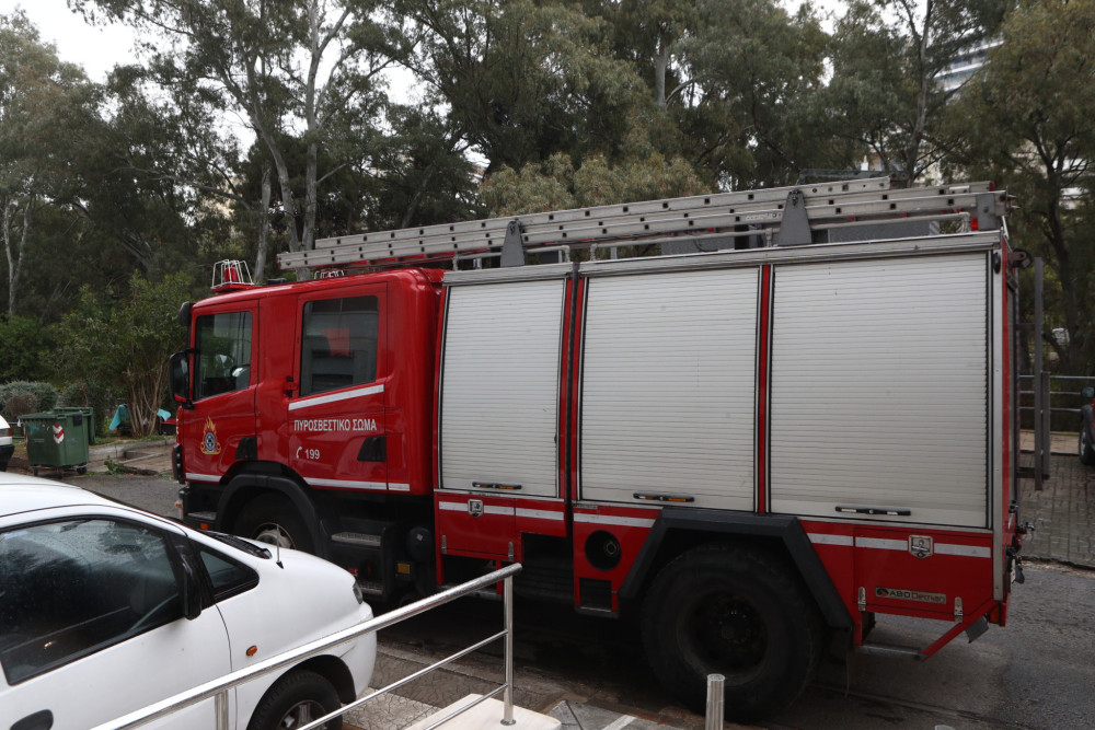 Φιλιππιάδα: καρέ καρέ η διάσωση αλόγου από καταδρομείς της ΕΜΑΚ (video)