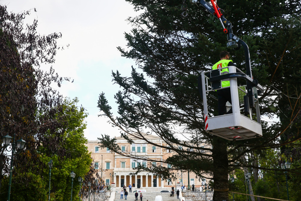 Αντίστροφη μέτρηση για τη φωταγώγηση του Χριστουγεννιάτικου δέντρου, στο Σύνταγμα - Οι εκδηλώσεις