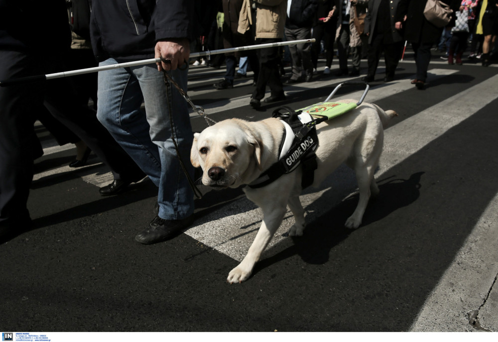 Καλή η παγκόσμια ημέρα, καλύτερη η κάθε μέρα