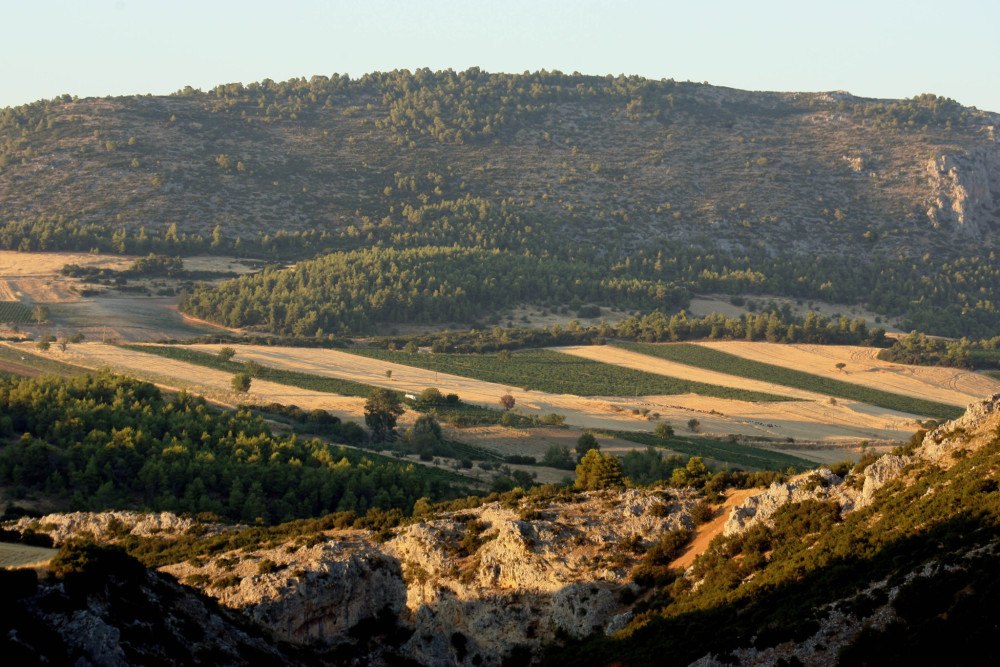 Τα παράσιτα και τα λαμόγια δεν έχουν ιδεολογία