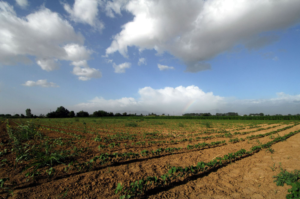 Αχιλλέας Γραβάνης: Αναγκαία η αναδιάρθρωση των καλλιεργειών - Οι αγρότες να συζητούν (video)