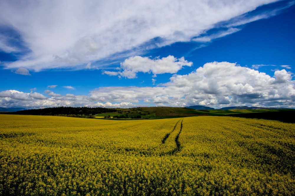 ΥΠΑΑΤ: Άνοιξαν οι πίνακες δικαιούχων εξισωτικής 2025 - Οδηγός για πληρωμές και ενστάσεις