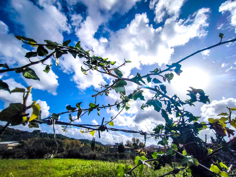 Ανατροπή στο χειμερινό σκηνικό με απότομη άνοδο θερμοκρασίας και νοτιάδες έως 8 μποφόρ