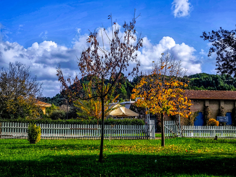 Καιρός: Χειμωνιάτικες λιακάδες με… δόντια μέχρι την Πρωτοχρονιά