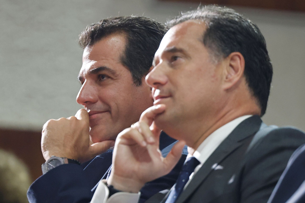 Κριτική Γεωργιάδη - Πλεύρη σε Διεθνή Αμνηστία και Δικαστήριο της Χάγης για το μεταναστευτικό