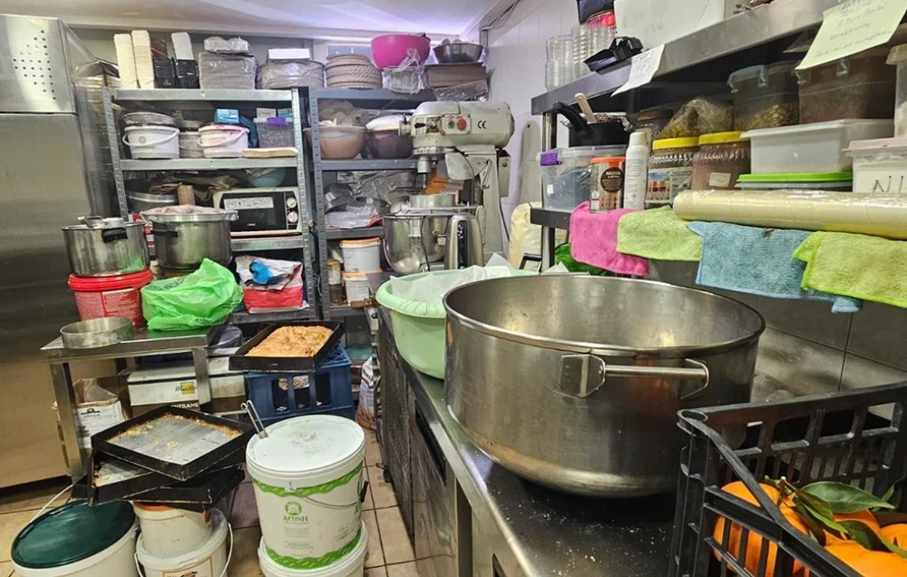 Σαρωτικοί έλεγχοι της Περιφέρειας Αττικής - Κατασχέθηκαν 12 τόνοι ακατάλληλων προϊόντων