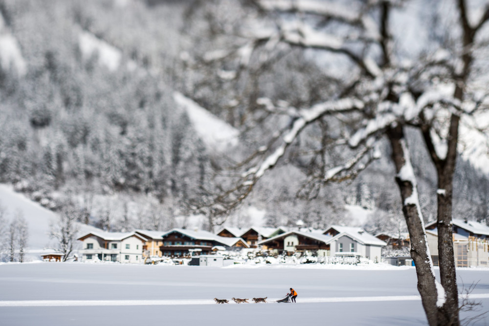Politico: Το μυστικό όπλο της Δανίας κατά των ΗΠΑ - Πώς η ΕΕ μπορεί να σώσει τη Γροιλανδία