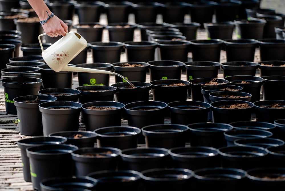 Απαγορεύονται οι πλαστικές γλάστρες στην ΕΕ: Οι νέοι κανόνες και οι αντιδράσεις