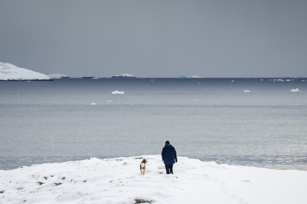 Γροιλανδία: Πώς το ευρωπαϊκό σχέδιο αποτροπής μπλοκάρει τις απειλές Τραμπ