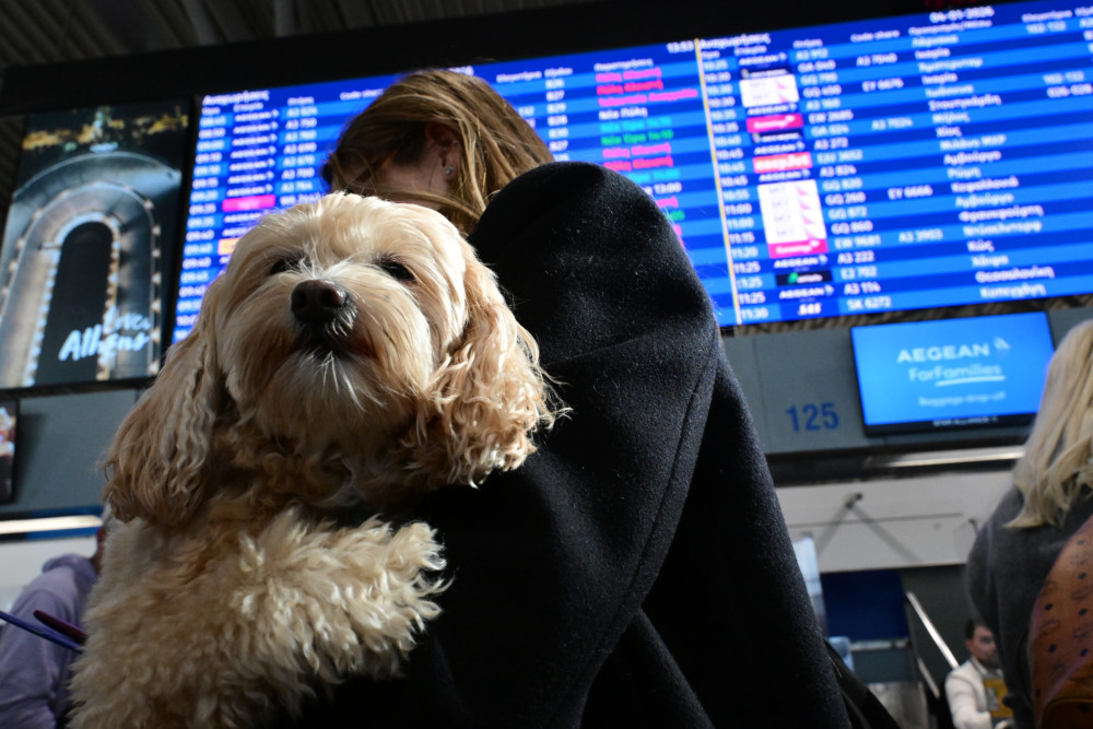 Μπλακ άουτ στον FIR Αθηνών: Γιατί έμειναν «τυφλές» οι επικοινωνίες των ελληνικών αεροδρομίων