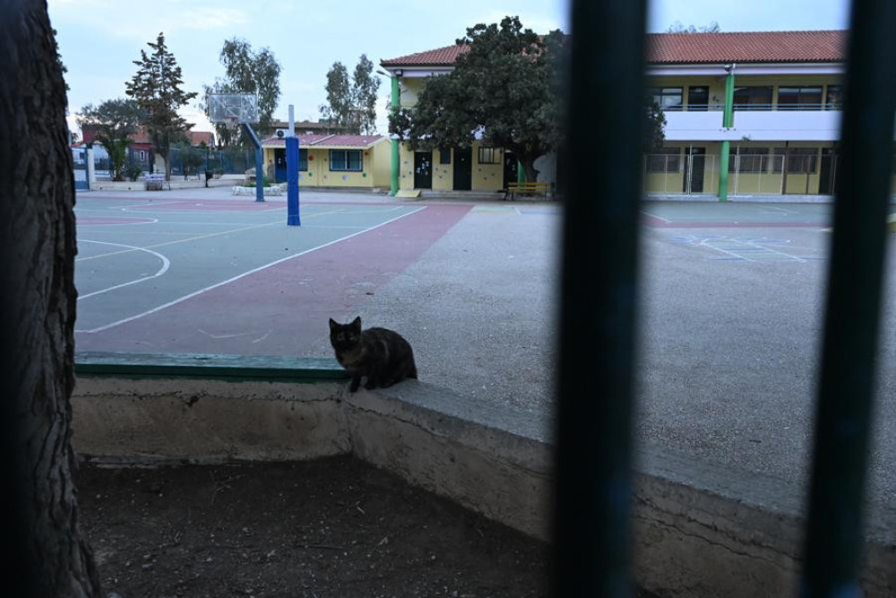 Σοκ σε Γυμνάσιο των Σερρών: διευθύντρια κατηγορείται ότι φίμωσε 13χρονο μαθητή - Οδηγείται στον εισαγγελέα