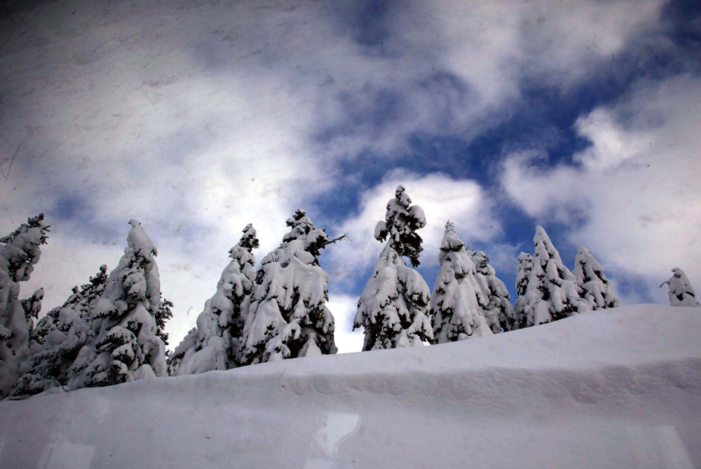 Συναγερμός στον Παρνασσό: Δύο ορειβάτες αποπροσανατολίστηκαν - Επιχείρηση διάσωσης σε εξέλιξη