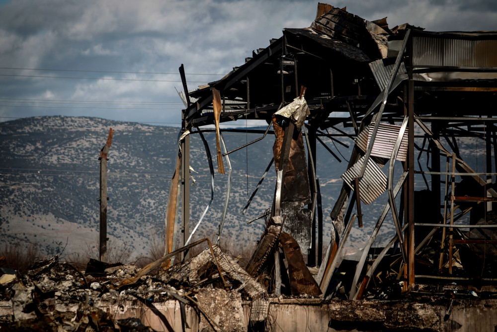 Βιολάντα: Οι λόγοι που οδήγησαν στην κράτηση του ιδιοκτήτη - Τα ευρήματα των αρχών (βίντεο)