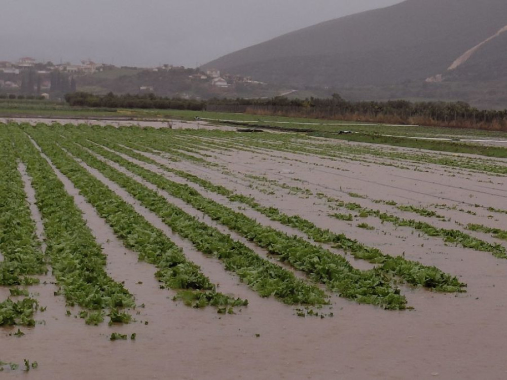 Έβρος: «πνίγεται» το Σουφλί και το Διδυμότειχο από την κακοκαιρία - Κλειστός ο δρόμος για Δαδιά (video)