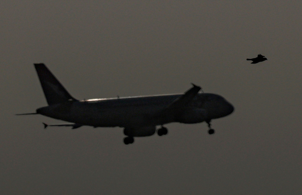 Στέιτ Ντιπάρτμεντ: Πάνω από 17.500 Αμερικανοί επέστρεψαν από τη Μέση Ανατολή