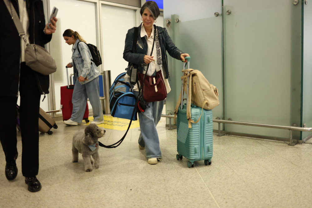 Στην Αθήνα οι Έλληνες με τα κατοικίδιά τους από το Άμπου Ντάμπι