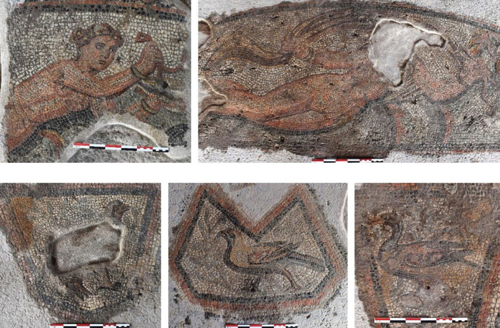 ΥΠΠΟ: δρομολογείται η ανάδειξη ρωμαϊκής έπαυλης στο Αμύνταιο με εντυπωσιακά ψηφιδωτά (photos)