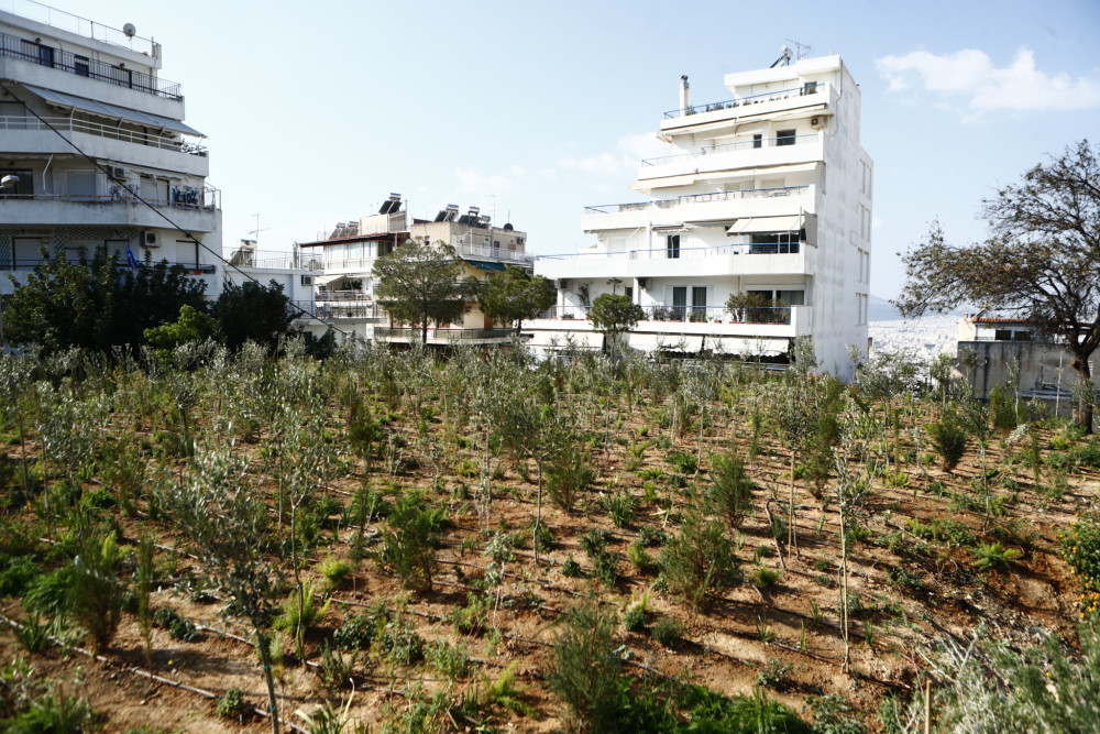 ΥΠΕΝ: νέοι κανόνες χρήσεων σε προστατευόμενες περιοχές δικτύου «Natura 2000»