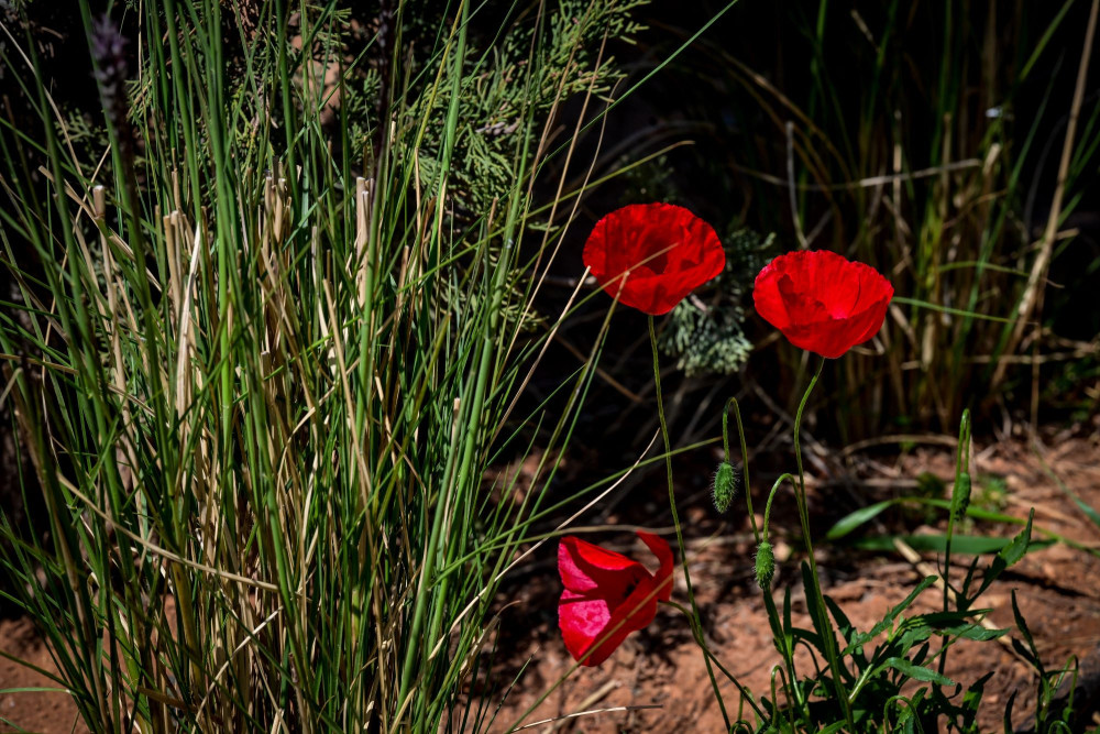 Με τι καιρό θα κάνουμε Πάσχα: ανοιξιάτικο σκηνικό έως τη Δευτέρα